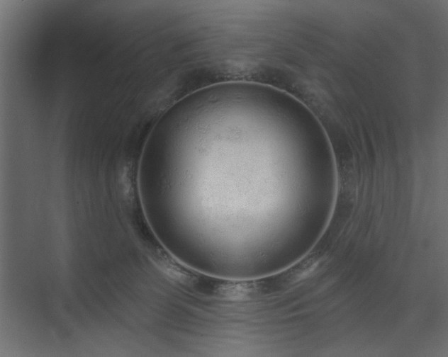 X0000073830131200608170951