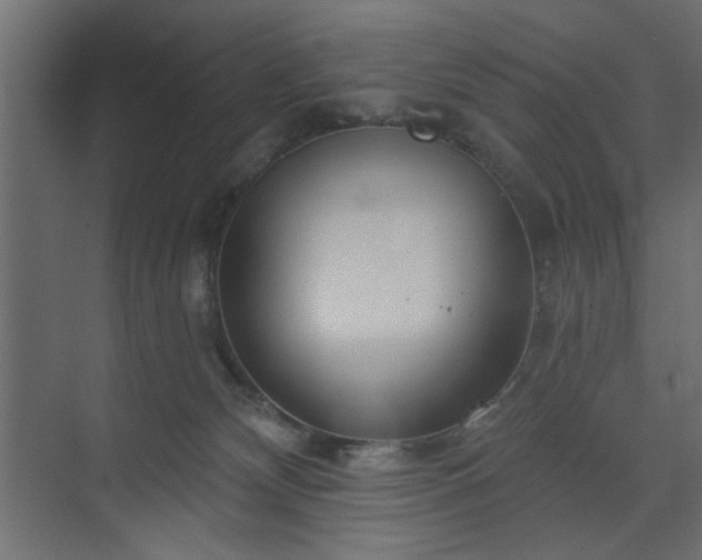 X0000073830132200608170951