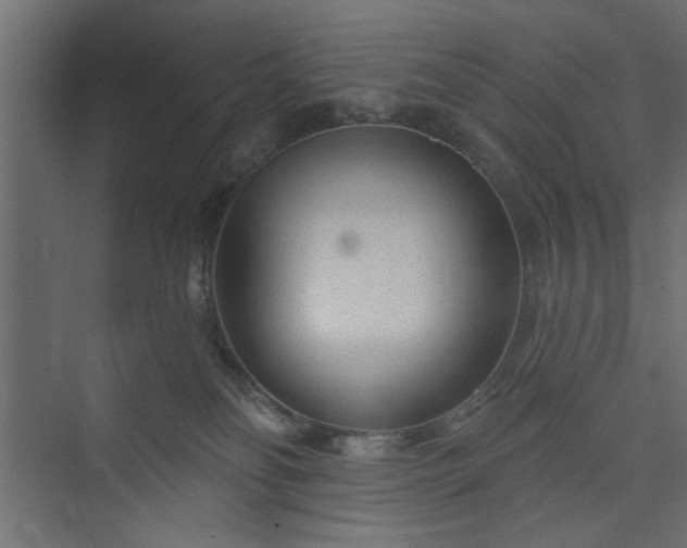 X0000073830134200608170951