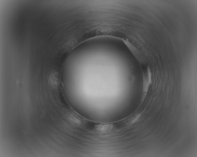 X0000073830135200608170951