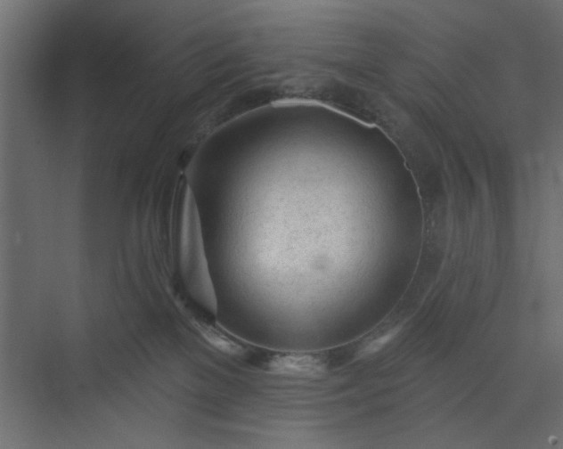 X0000073830137200608170951