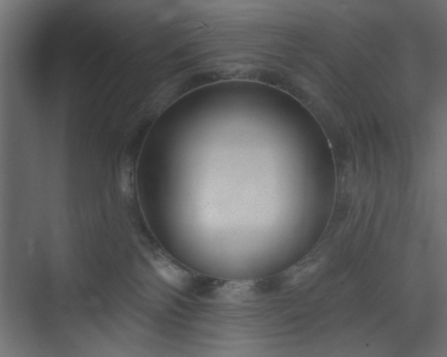 X0000073830138200608170951