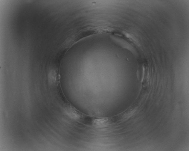 X0000073830139200608170951