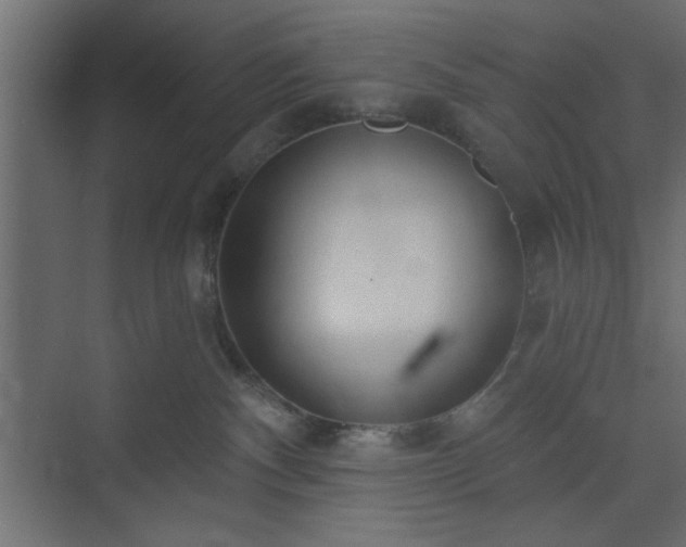 X0000073830140200608170951