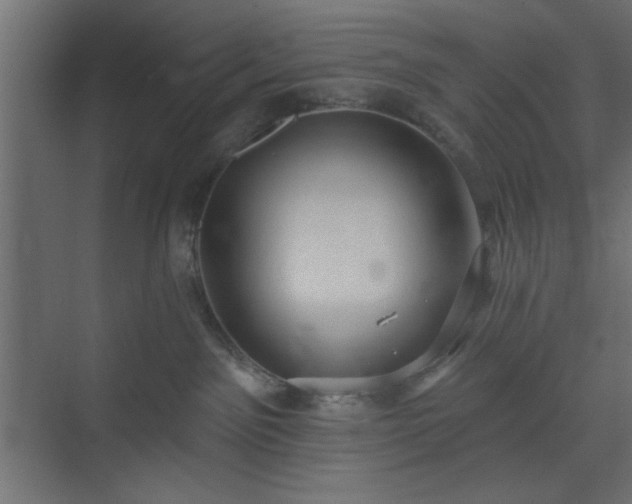 X0000073830141200608170951