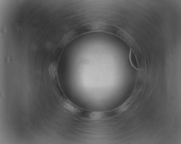 X0000073830142200608170950