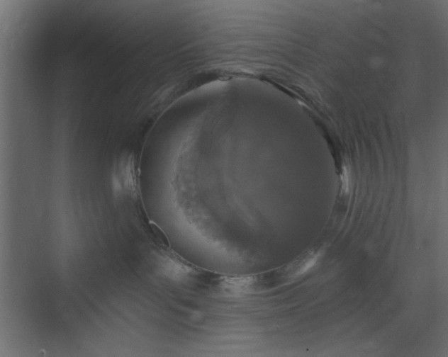 X0000073830143200608170950