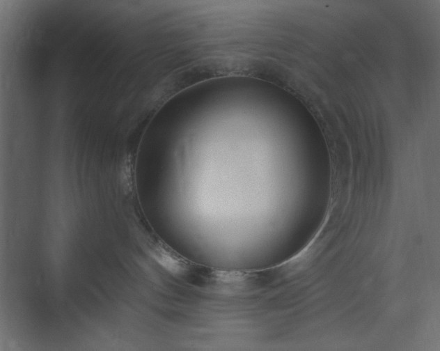 X0000073830144200608170950