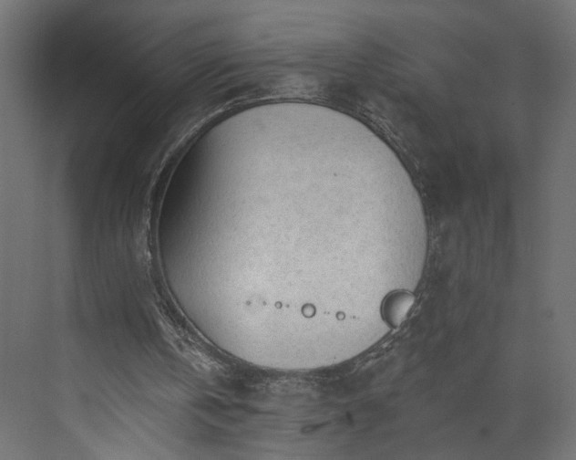 X0000073830146200608170950