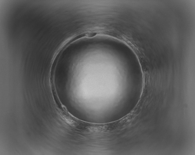 X0000073830147200608170950