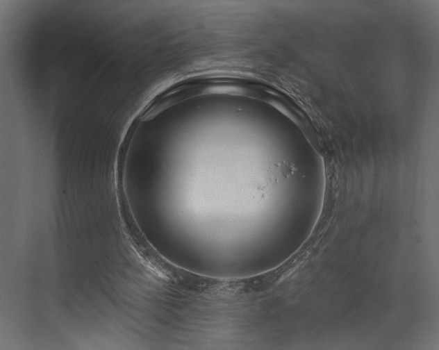 X0000073830148200608170950