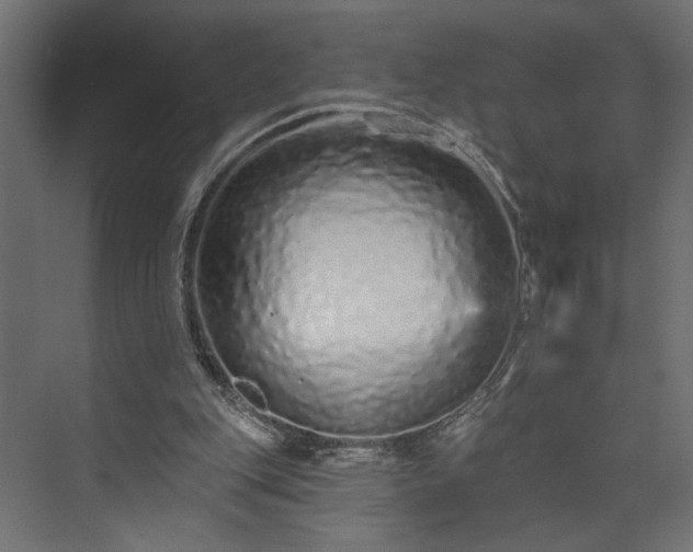 X0000073830151200608170950