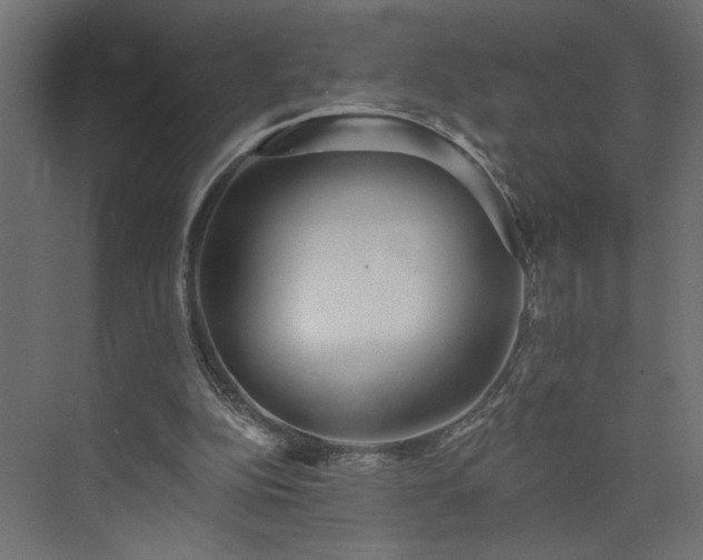 X0000073830152200608170950