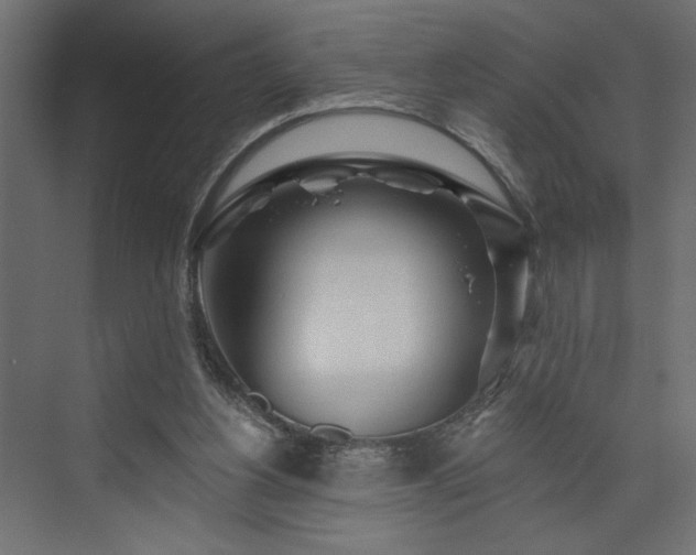 X0000073830156200608170950