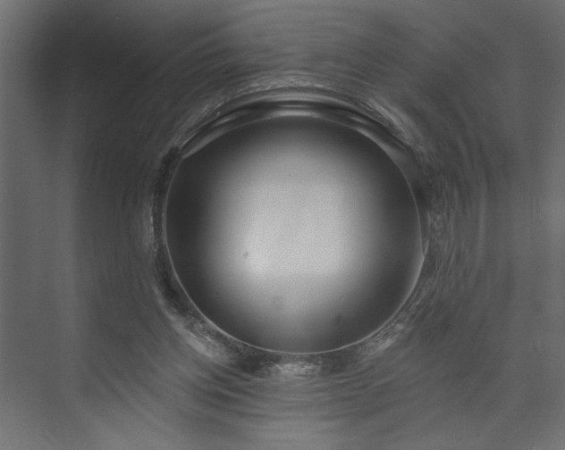 X0000073830158200608170950