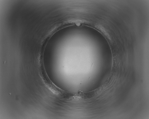 X0000073830159200608170950