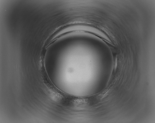 X0000073830160200608170950