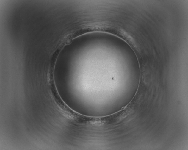 X0000073830161200608170950