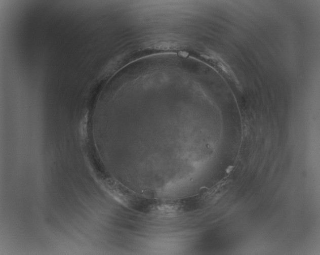 X0000073830163200608170950