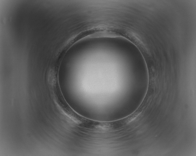 X0000073830164200608170950