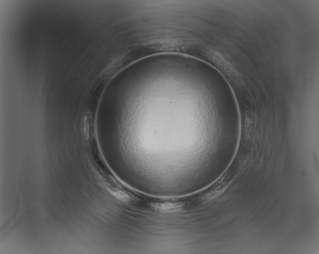 X0000073830165200608170950