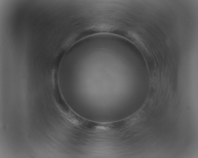 X0000073830167200608170950