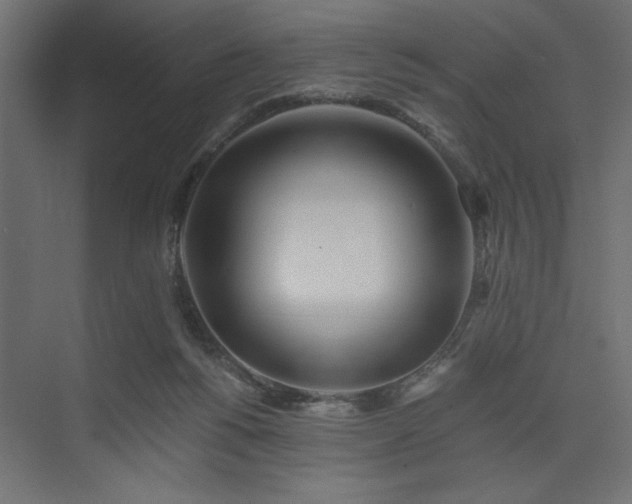 X0000073830168200608170950