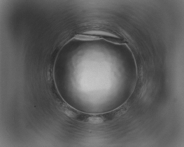 X0000073830169200608170950