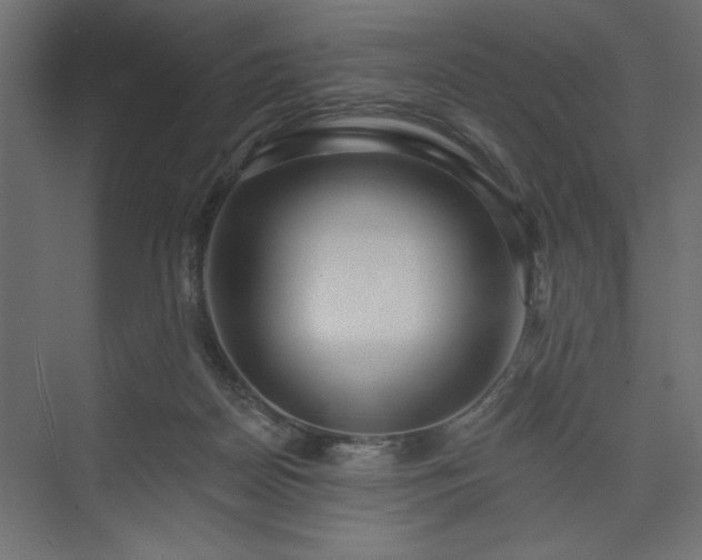 X0000073830170200608170950