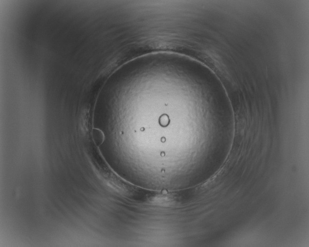 X0000073830171200608170950