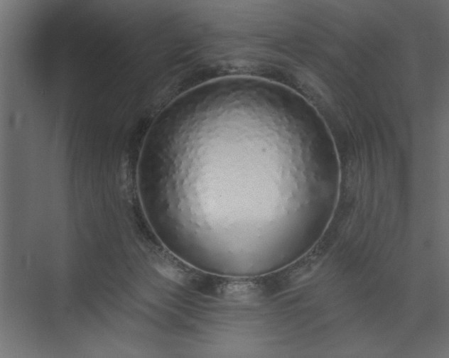 X0000073830173200608170950