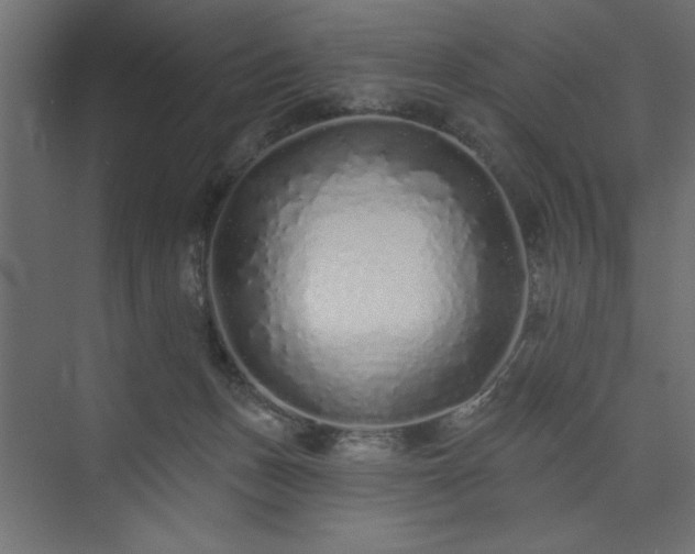 X0000073830175200608170950