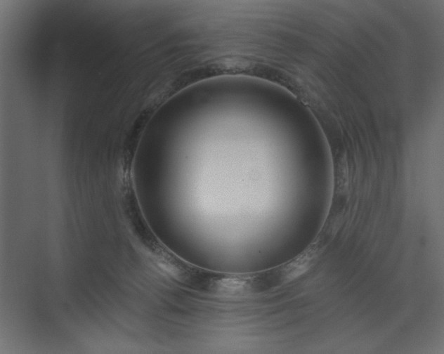 X0000073830176200608170950