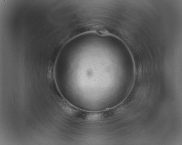 X0000073830177200608170950