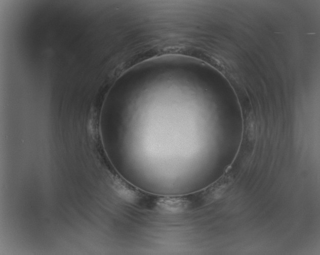 X0000073830181200608170950