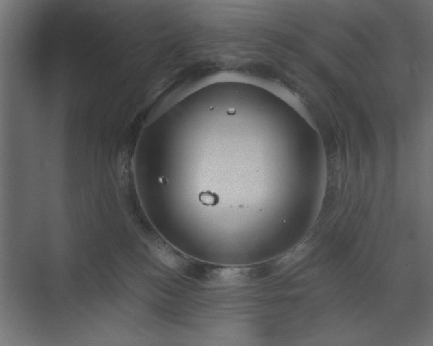 X0000073830184200608170950