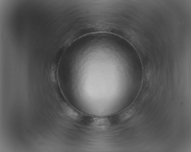 X0000073830185200608170950