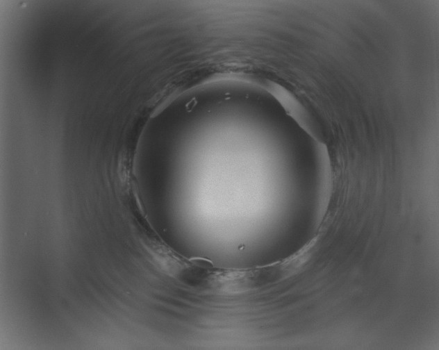 X0000073830186200608170950