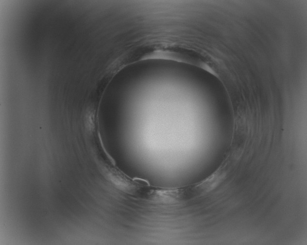 X0000073830188200608170950