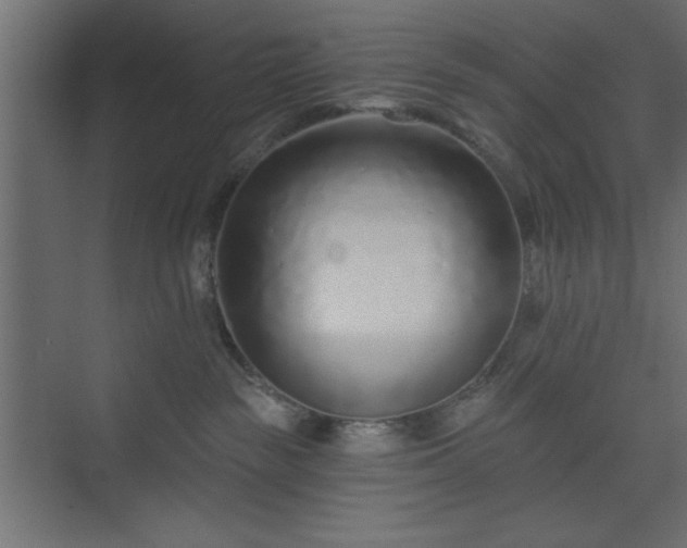 X0000073830189200608170950