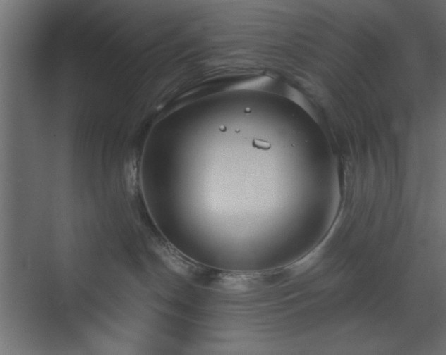 X0000073830190200608170950