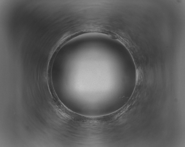 X0000073830195200608170950