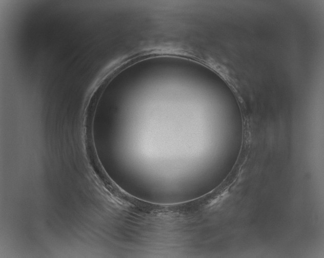 X0000073830199200608170950