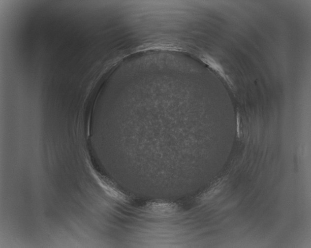 X0000073830205200608170949