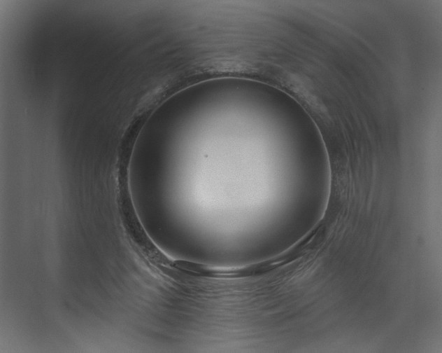 X0000073830207200608170949