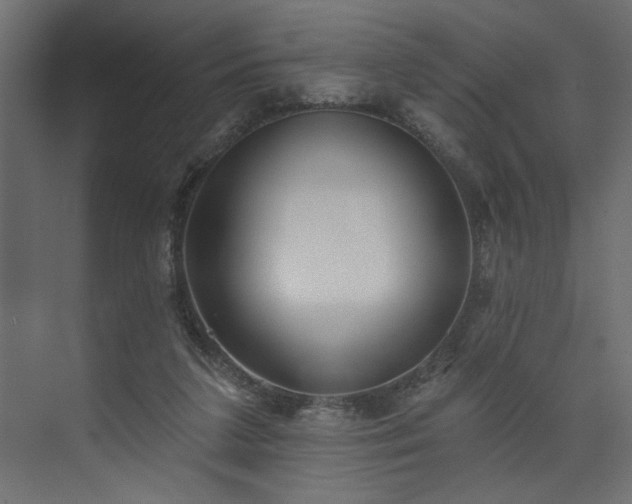 X0000073830211200608170949