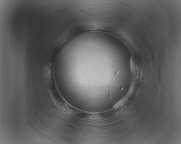 X0000073830214200608170949