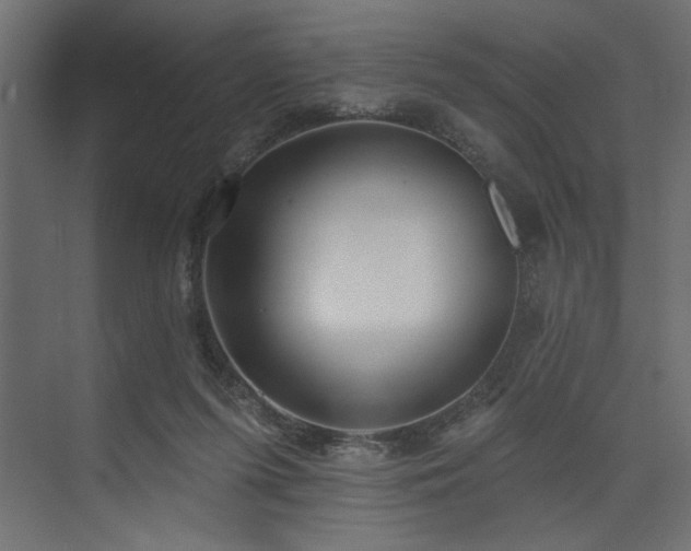 X0000073830215200608170949