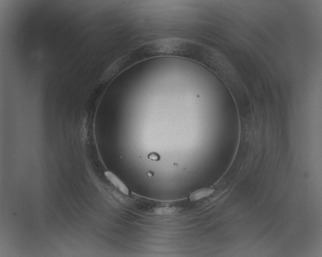 X0000073830216200608170949