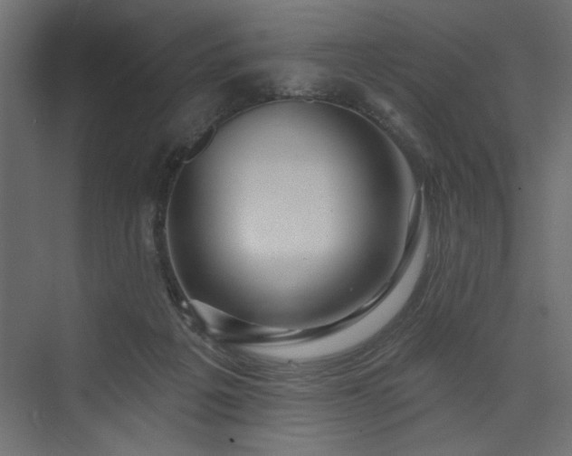 X0000073830217200608170949